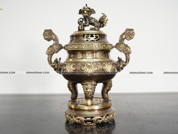 Đỉnh hoa sòi 40 CN