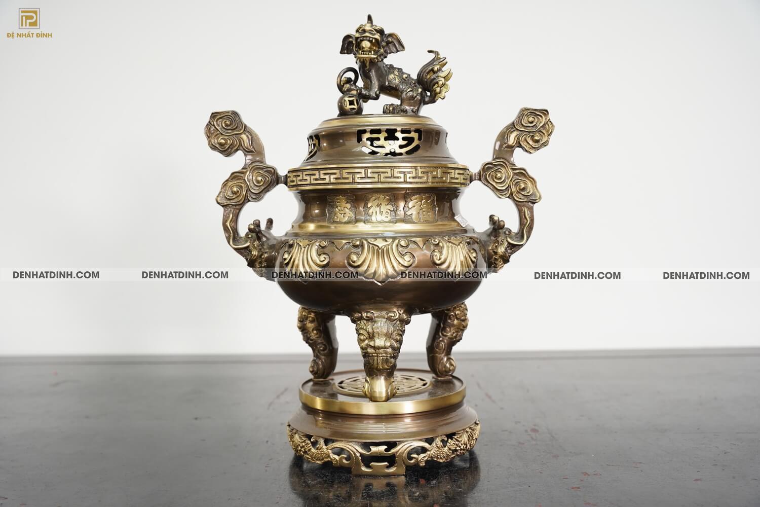 Đỉnh hoa sòi 40 CN