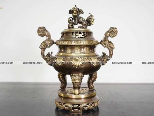 Alternative view of Đỉnh hoa sòi 40 CN