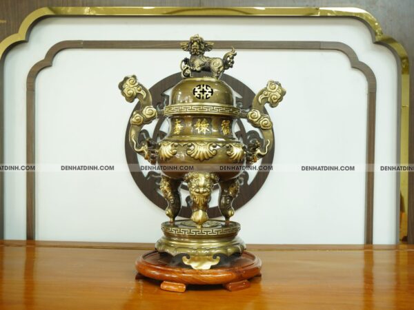 Đỉnh hoa sòi 65 CN