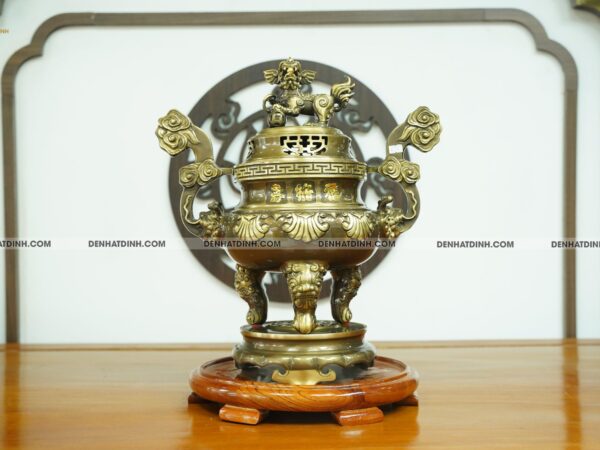 Đỉnh hoa sòi 50 CN