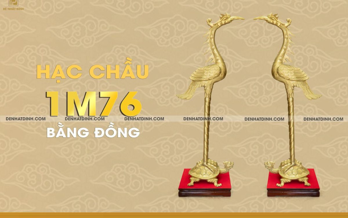 Hạc béo ngậm ngọc 1m76