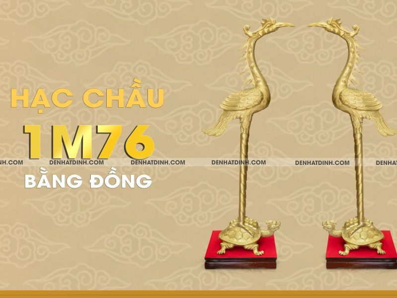 Hạc béo ngậm ngọc 1m76