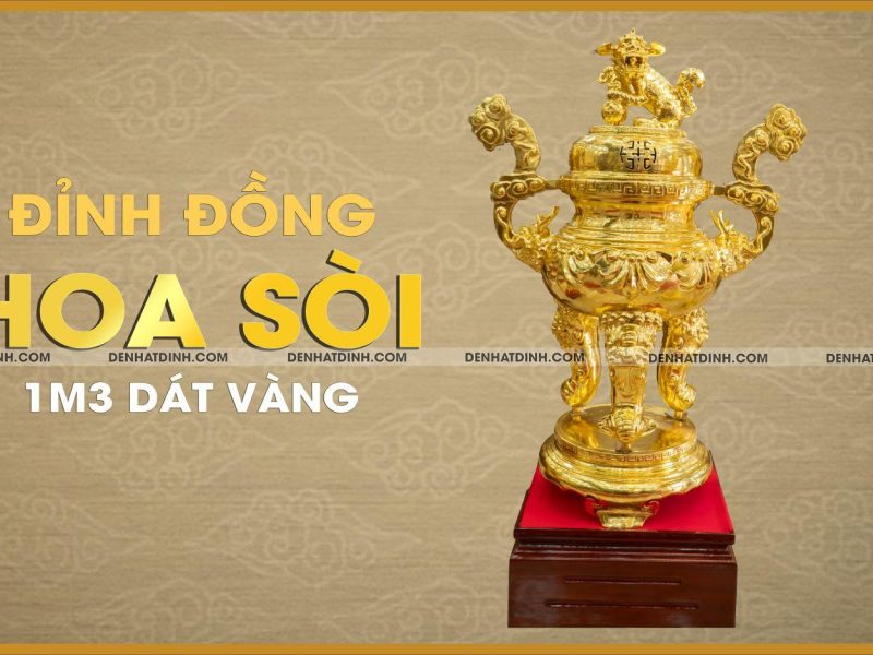 Đỉnh Hoa Sòi Dát Vàng