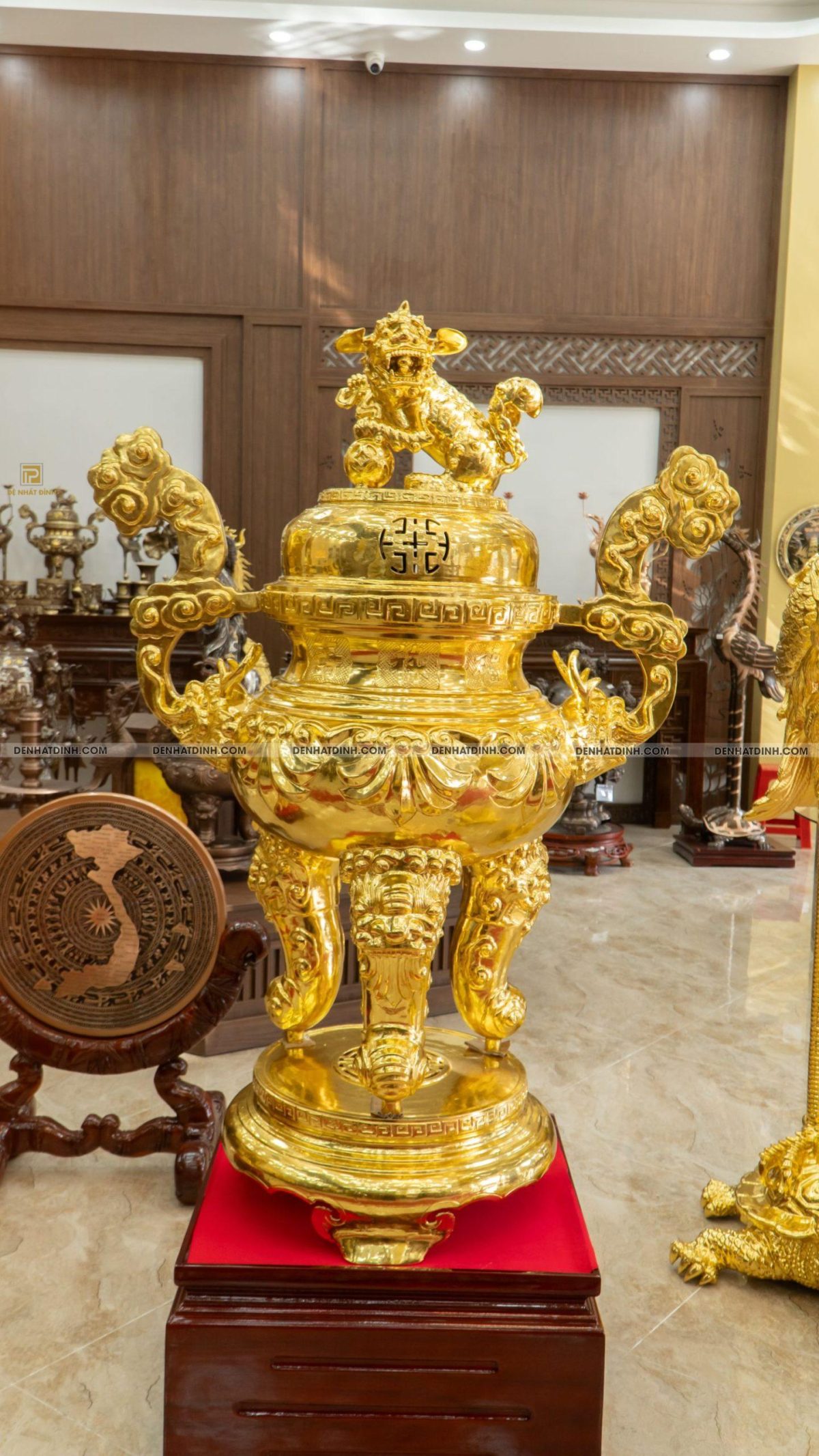 Đỉnh Hoa Sòi Dát Vàng - Ảnh 2