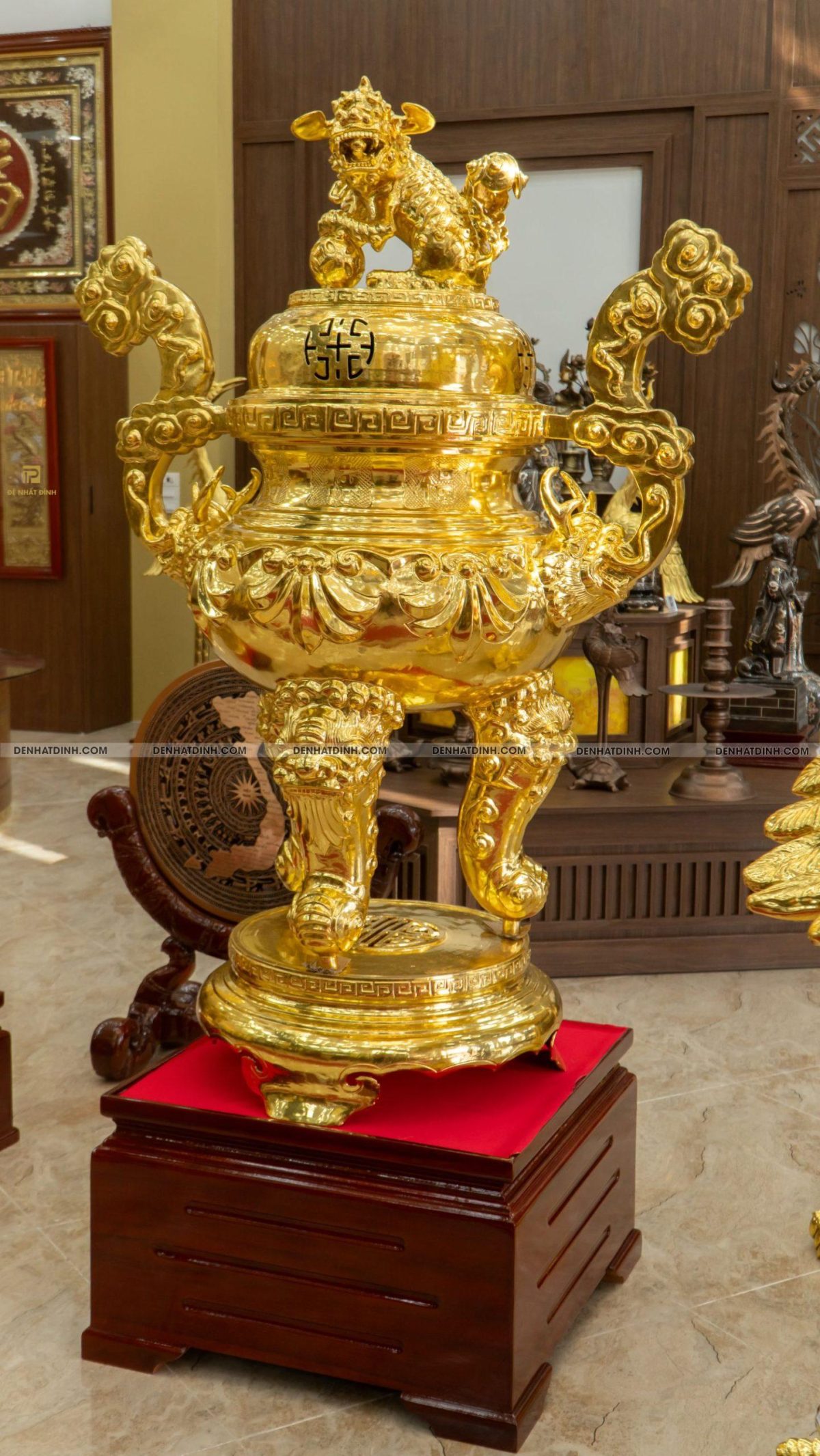 Đỉnh Hoa Sòi Dát Vàng - Ảnh 12