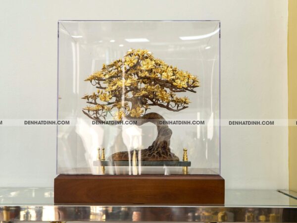 Alternative view of Hoa mai dát vàng