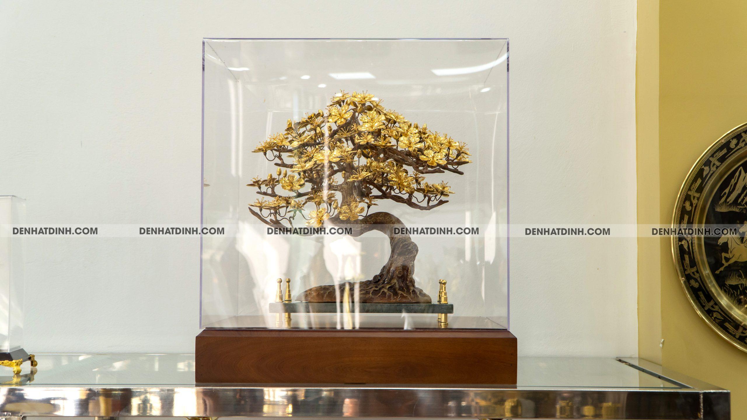 Hoa mai dát vàng - Ảnh 2