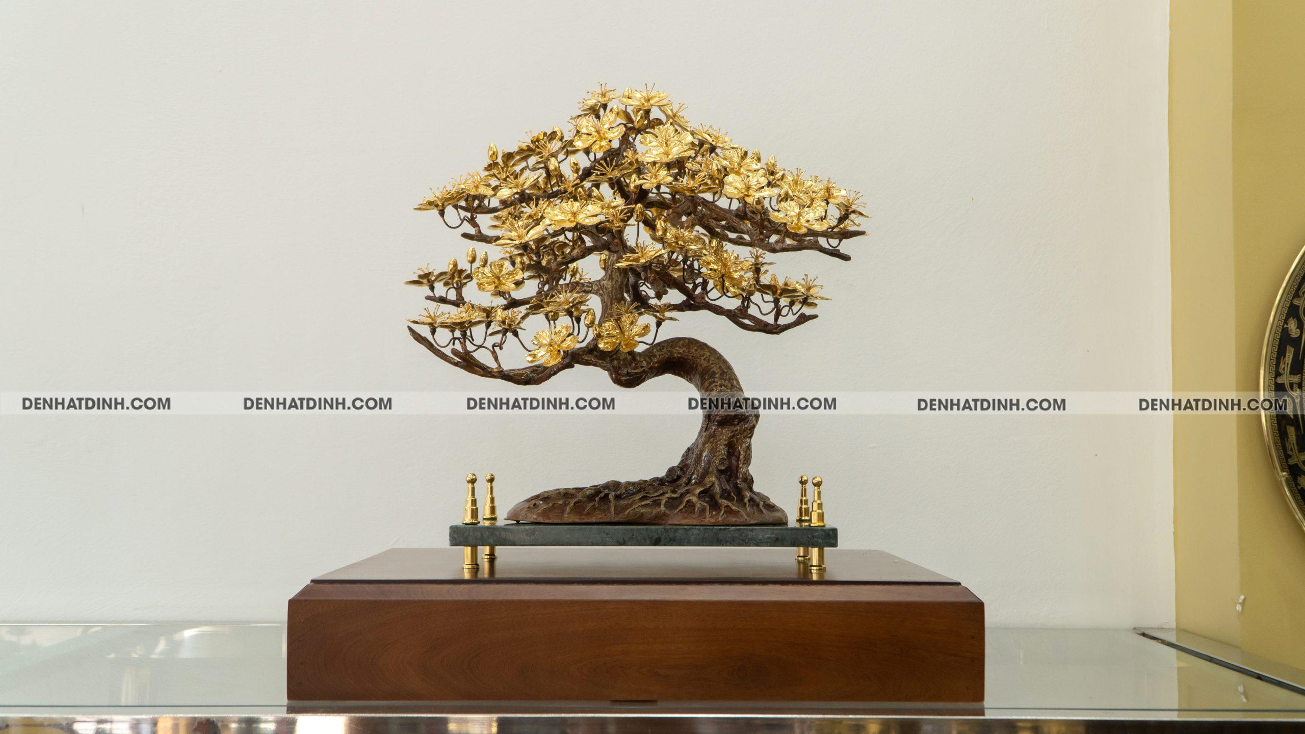 Hoa mai dát vàng - Ảnh 3