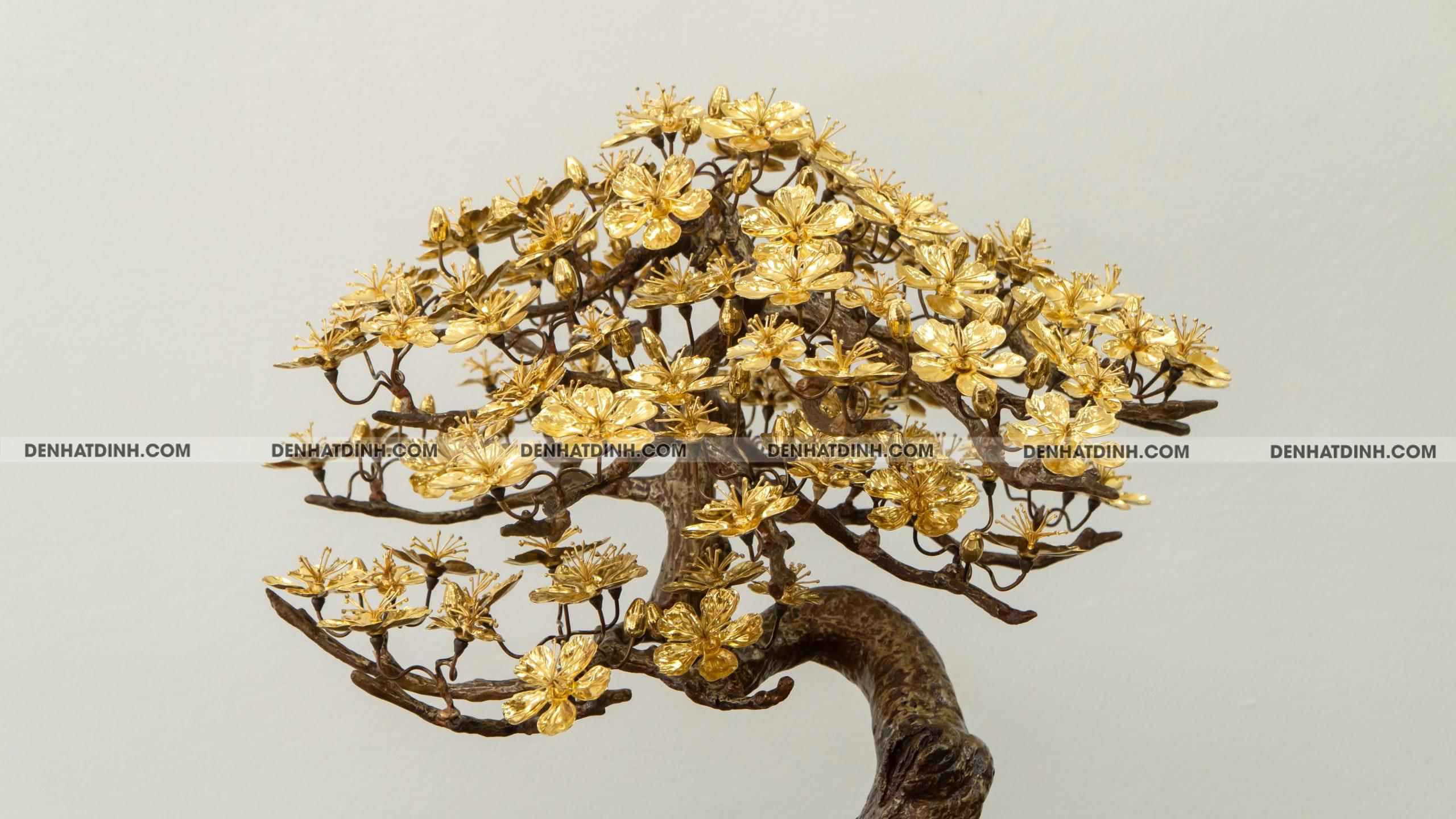 Hoa mai dát vàng - Ảnh 4