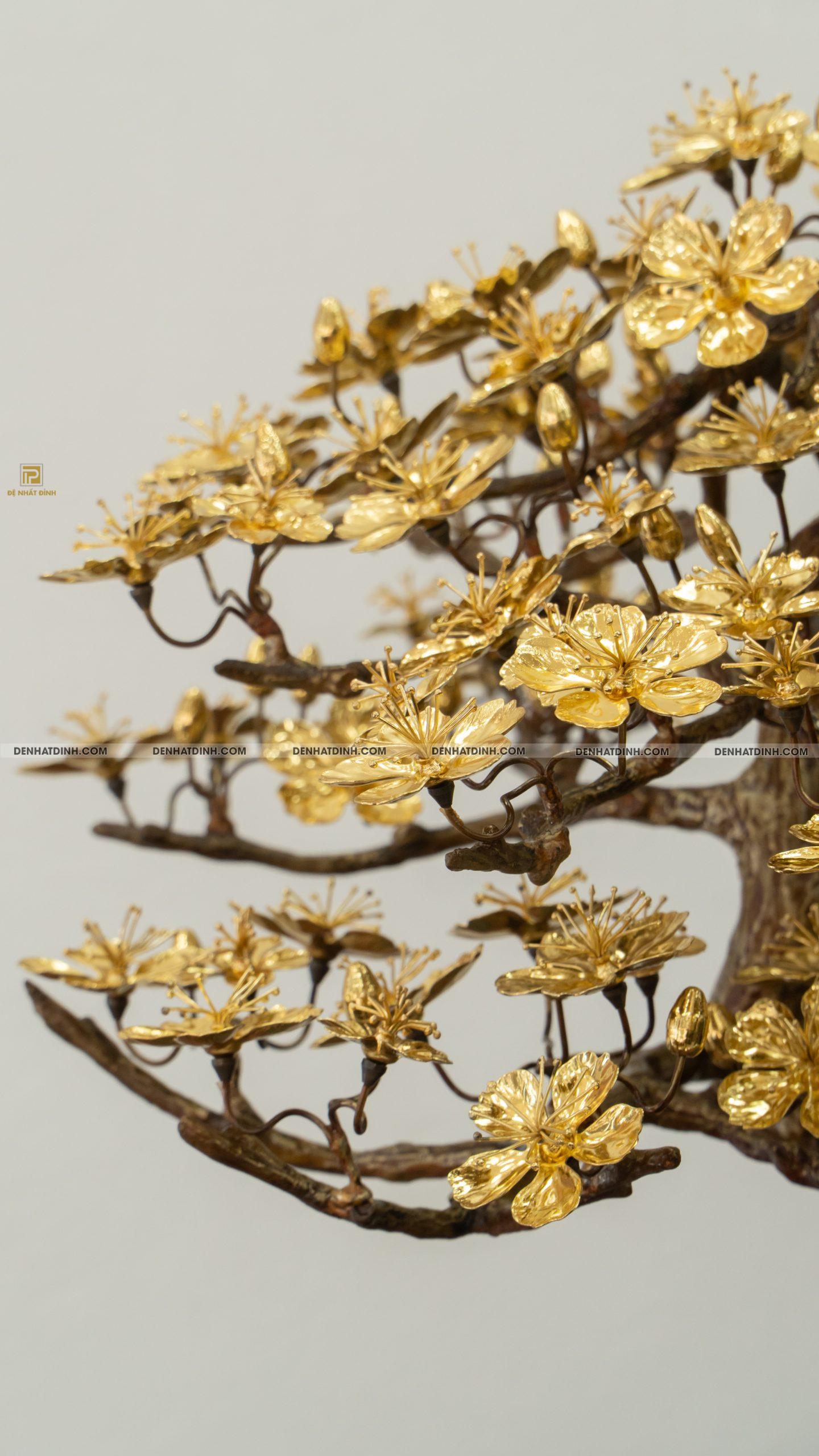 Hoa mai dát vàng - Ảnh 5