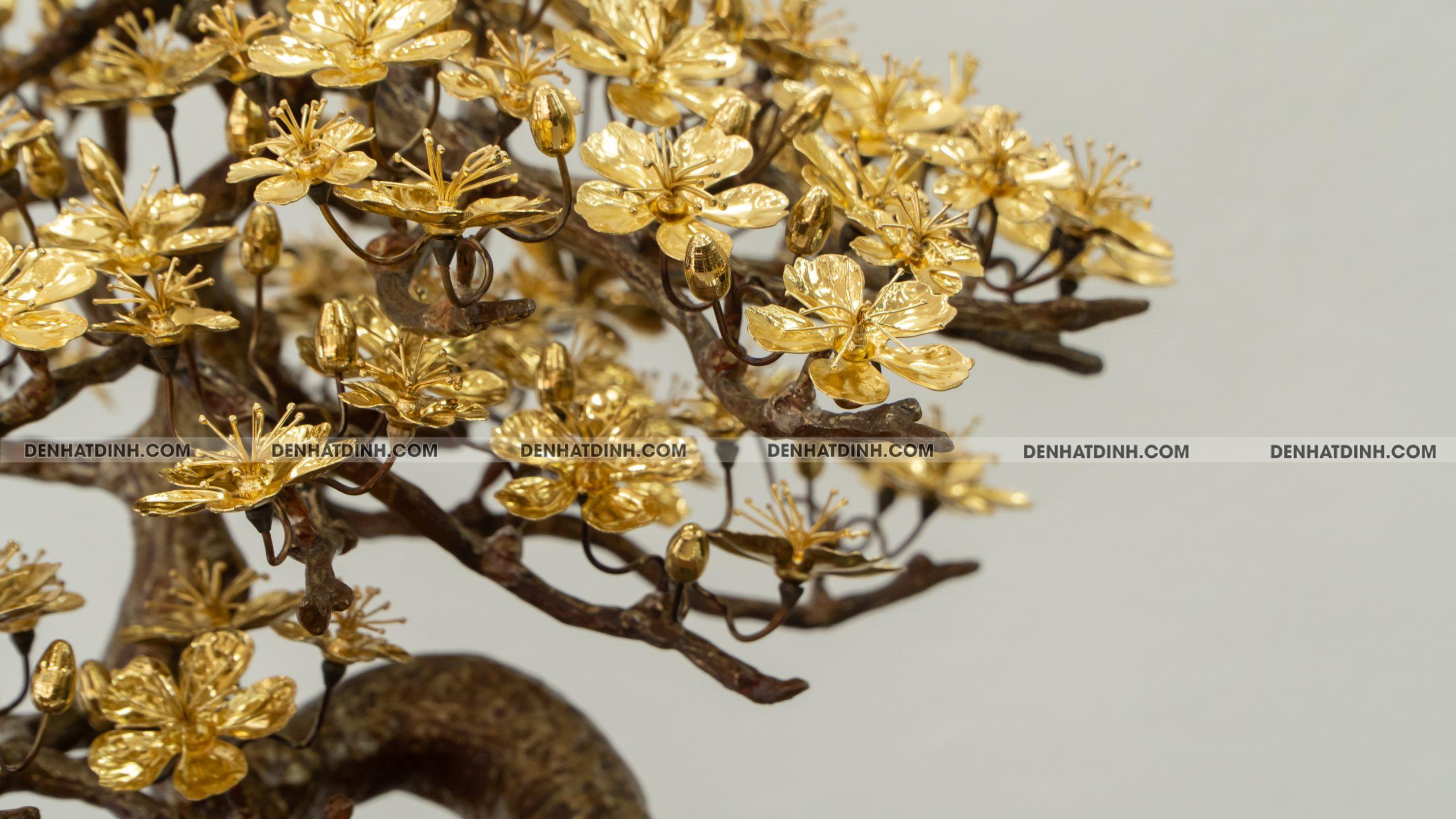 Hoa mai dát vàng - Ảnh 6