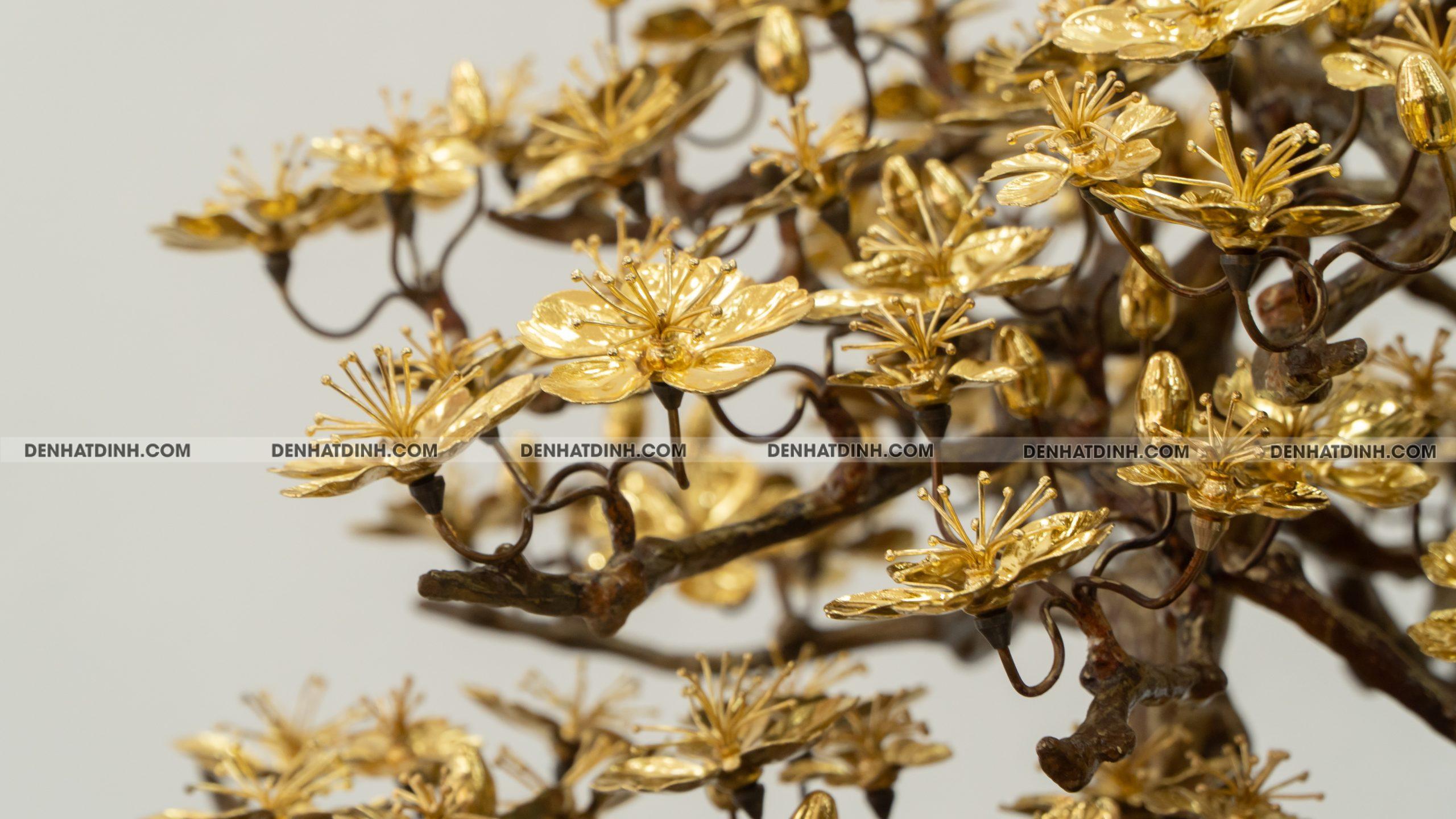 Hoa mai dát vàng - Ảnh 8