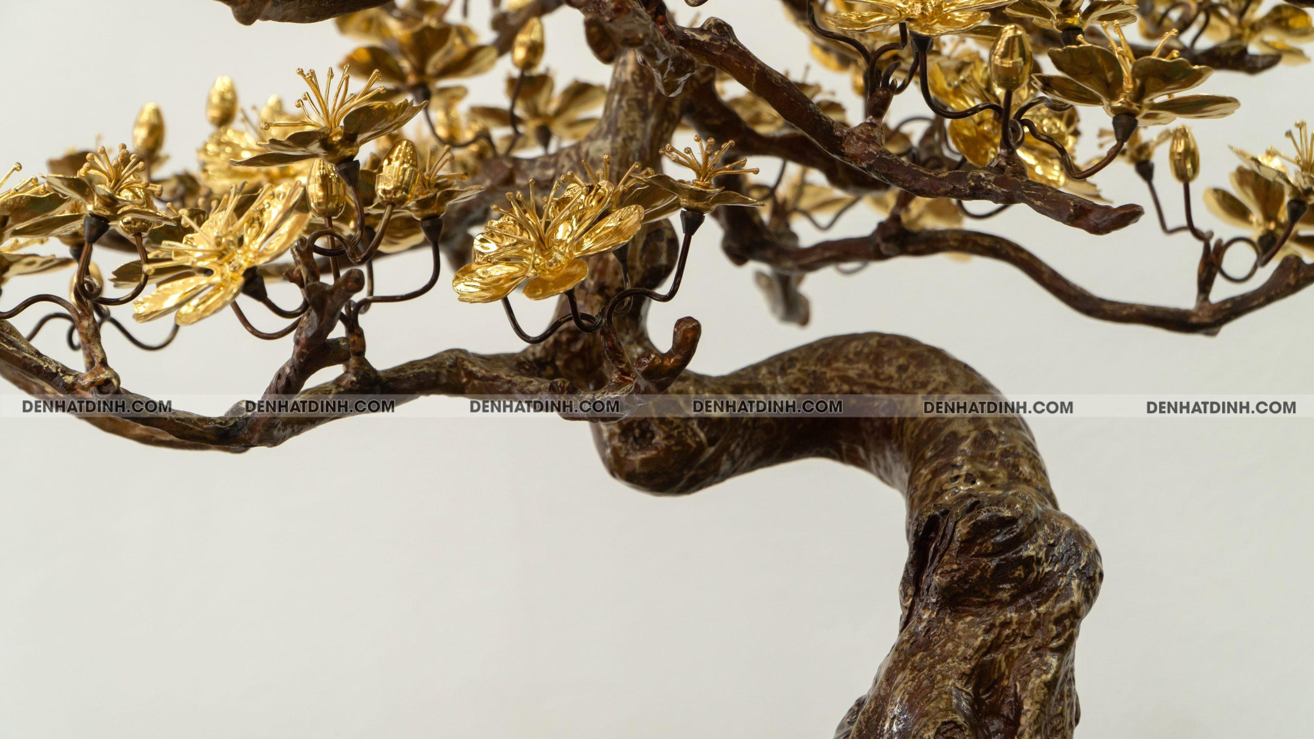 Hoa mai dát vàng - Ảnh 10