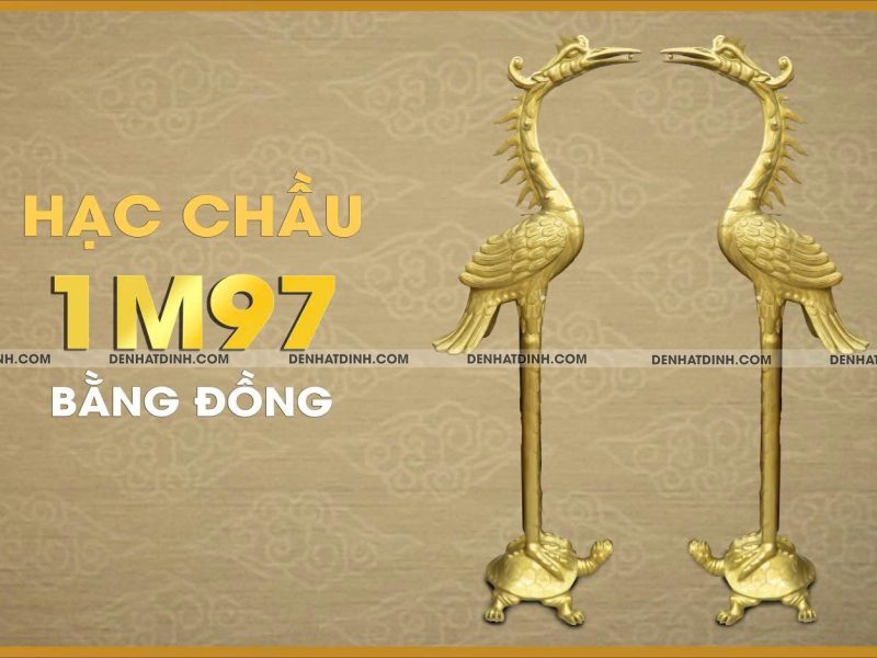 Hạc béo ngậm ngọc 1m97