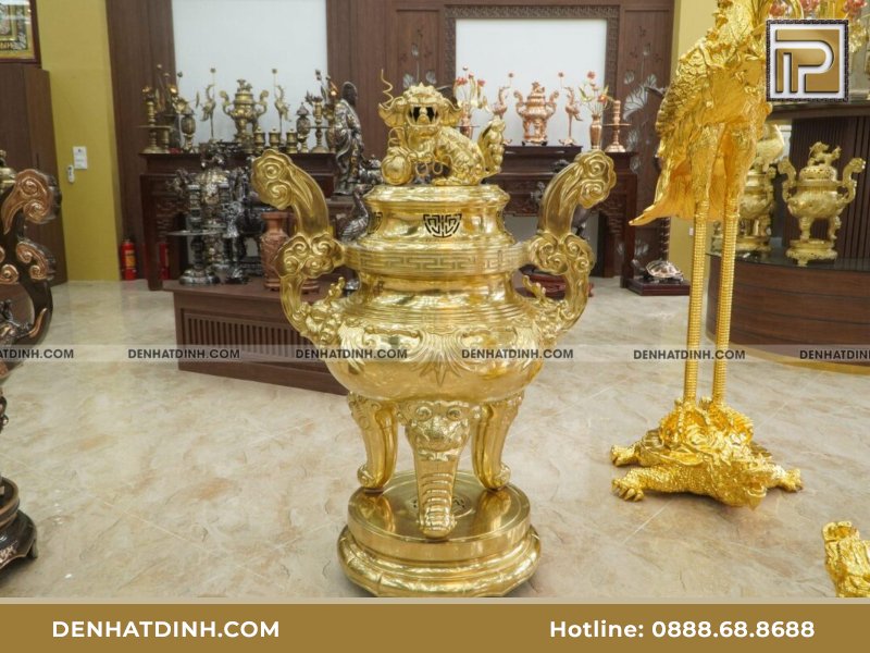 Đỉnh đồng hoa sòi là gì?